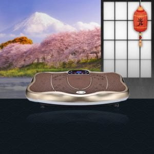 Máy rung toàn thân OKINAWA JS 11