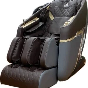 Ghế Massage FUJIKIMA D310